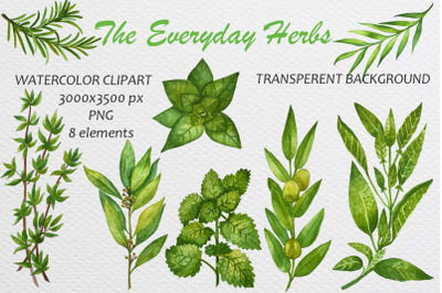 Watercolor Green Herbs Food Clip Art Set. Watercolor Illustration.
