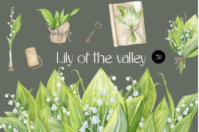 Lily Of The Valley Watercolor Flower