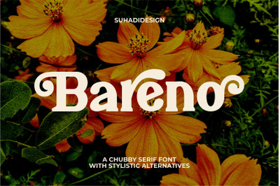 Bareno modern retro serif font