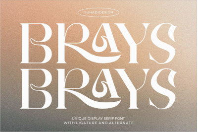 Brays unique display serif font