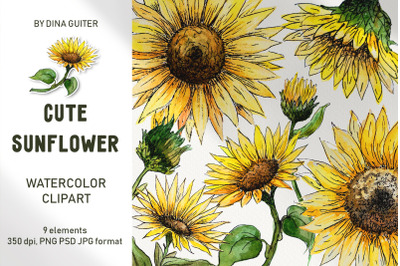 Sunflower watercolor clipart collection