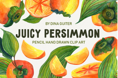 Persimmon fruit hand drawn clipart png