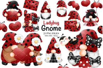 Watercolor Ladybug Gnome Clipart