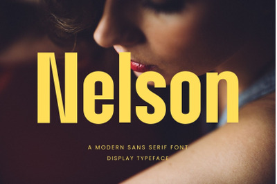 Nelson Modern Sans Serif Font