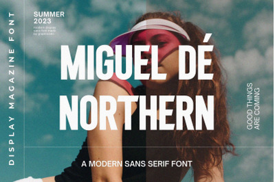 Miguel De Northern Modern Sans Serif Font