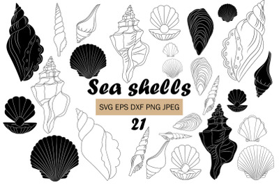 Seashells Illustration Background Vector Clipart Set