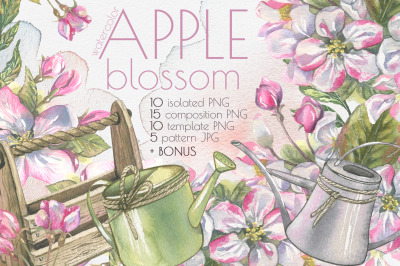 Apple blossom clip art watercolor