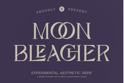 Moon Bleacher - Experimental Aesthetic Serif