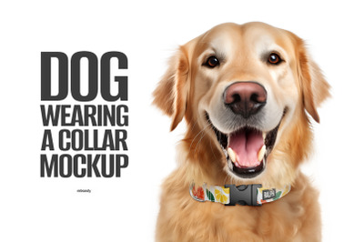 Dog Wearing a Collar Mockup