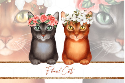 Floral cats. 2 png illustrations