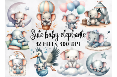 Elephants clipart, baby elephants png