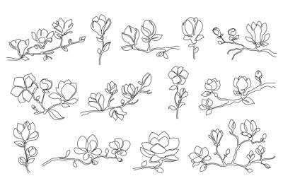 One line magnolia flowers. Blooming magnolia branches, minimalist flor