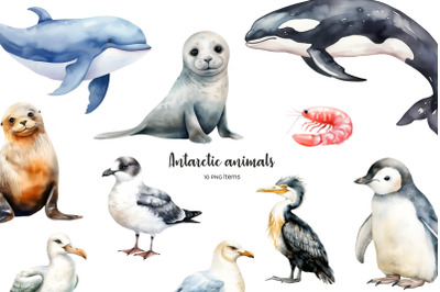 Watercolor Antarctic animals clipart. South Polar animals