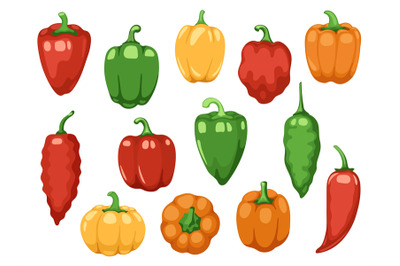 Various bell peppers. Cartoon red green yellow orange sweet paprika, f