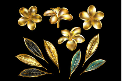 Set of gold plumeria flowers and leaves