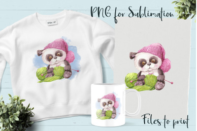 Cute Panda knits. Design for printing.