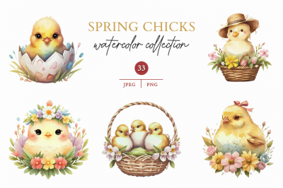 Spring Chicks