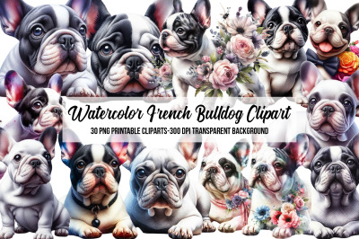 Watercolor French Bulldog Clipart