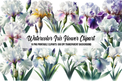 Watercolor Iris Flower Clipart