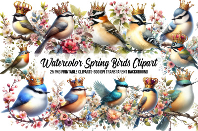 Watercolor Spring Birds Clipart
