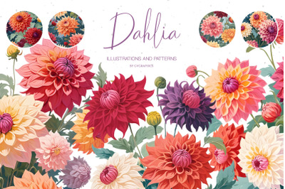Dahlia Collection