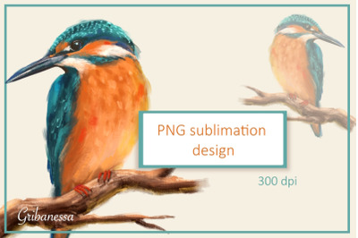 Bird on branch | Kingfisher PNG Sublimation design:
