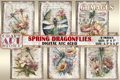 Spring dragonflies card set,Collage insects cards Atc ACEO