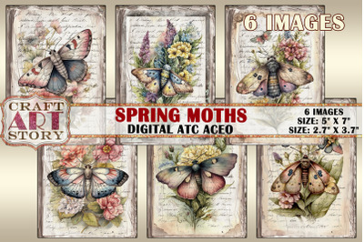 Spring moths card set,Collage insects cards Atc ACEO
