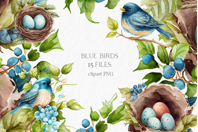 Blue bird nest watercolor clipart