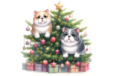 Two bully cats hung on a Christmas tree