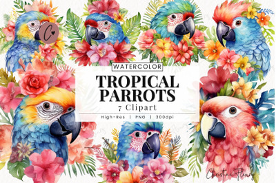 Tropical Parrots Clipart