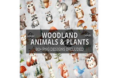 Woodland Animals PNG Bundle, watercolor clipart, forest animals clip a