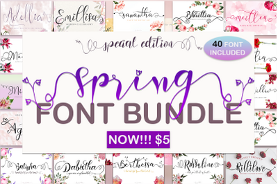 Spring Font Bundle