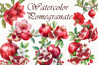 Pomegranate Watercolor Clipart