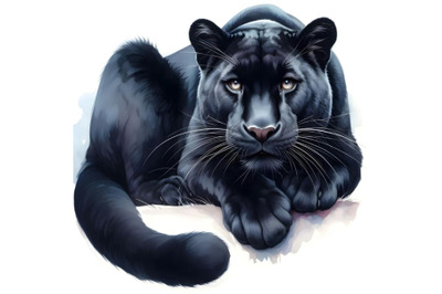 A large black Panther