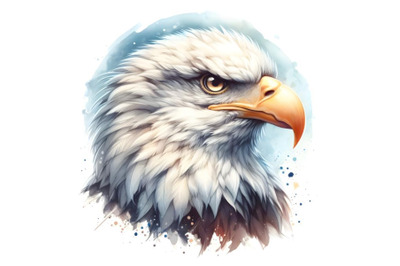 The American bald eagle