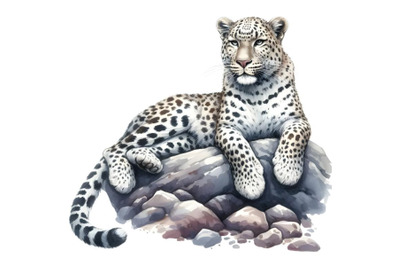 The leopard is lying on a rock