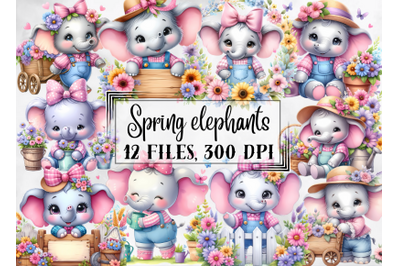 Spring Clipart, cute spring elephants clipart
