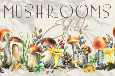 Mushrooms edible forest watercolor clip art