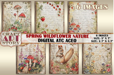 Spring wildflower nature Collage picture cards Atc ACEO