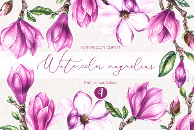 Watercolor Magnolias clipart PNG