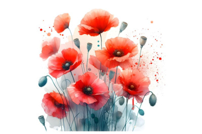 Red Poppies flowers