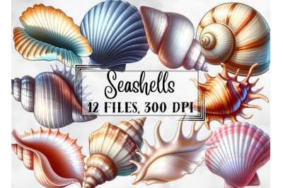 Seashells clipart, seashell png illustration