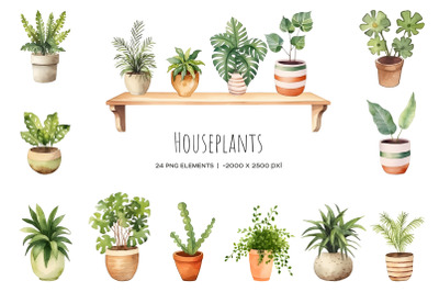 Watercolor 18 houseplants in pot. House plants clipart. Gardening PNG