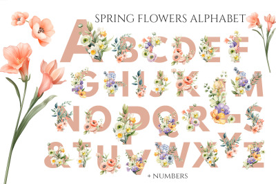 Spring flowers alphabet