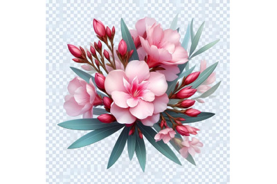 blooming Oleander flower