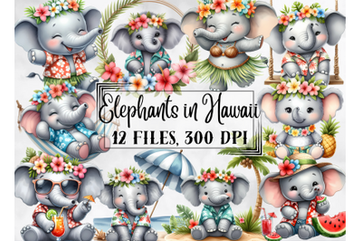 Elephant clipart, Hawaii clipart