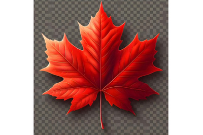 Maple leaf