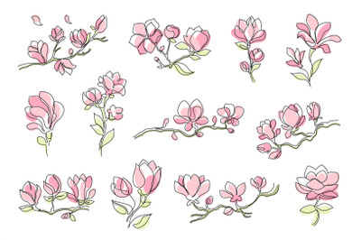 Magnolia flowers. Delicate floral line art, blooming magnolia branches