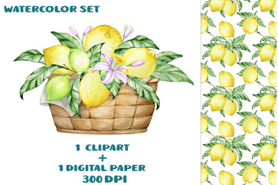Lemon watercolor clipart Seamless summer pattern tropical fruits  deco